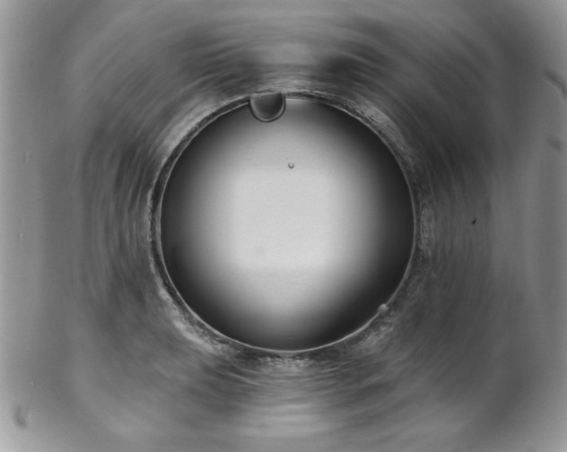 X0000102801039200808181156