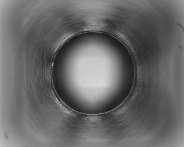 X0000102801041200808181156