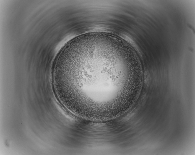 X0000102801043200808181156