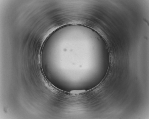 X0000102801044200808181156