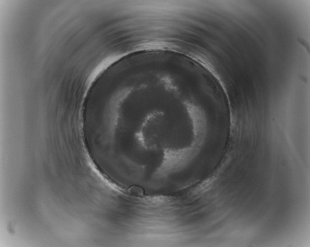 X0000102801045200808181156
