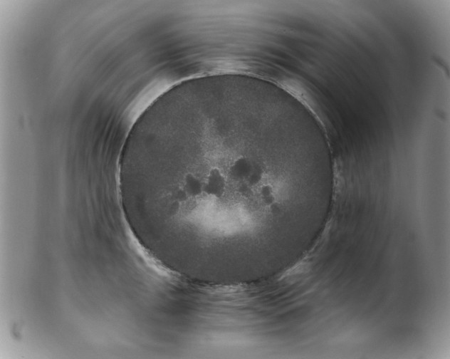 X0000102801047200808181156