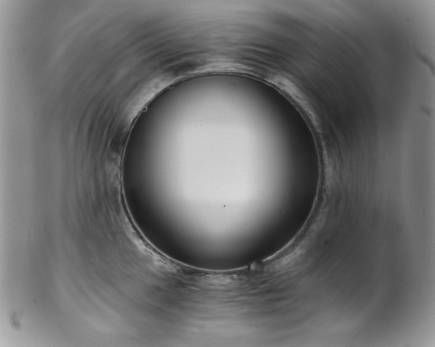 X0000102801049200808181156