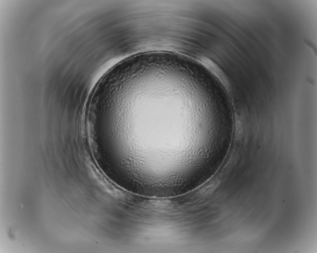 X0000102801052200808181156