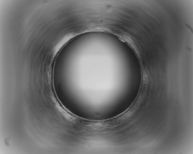 X0000102801054200808181156
