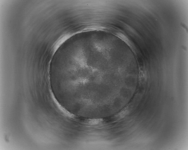 X0000102801055200808181156