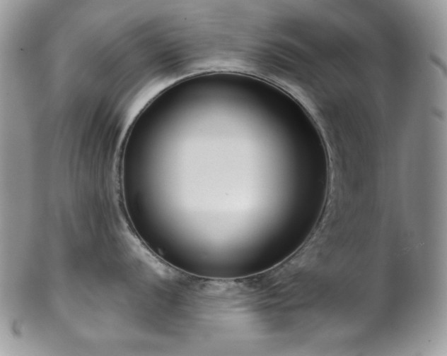 X0000102801056200808181156