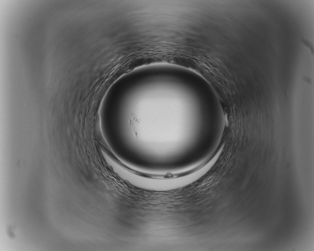X0000102801057200808181156