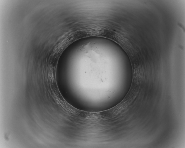 X0000102801058200808181156