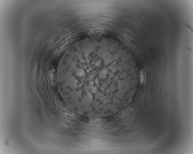 X0000102801059200808181156