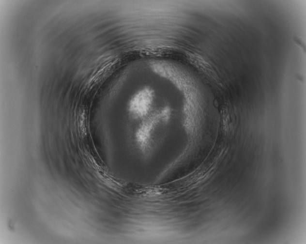 X0000102801060200808181156