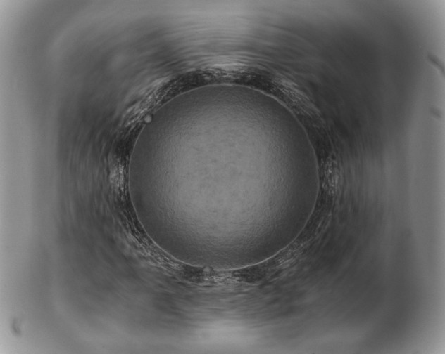 X0000102801061200808181156