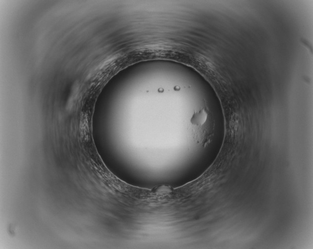 X0000102801062200808181156