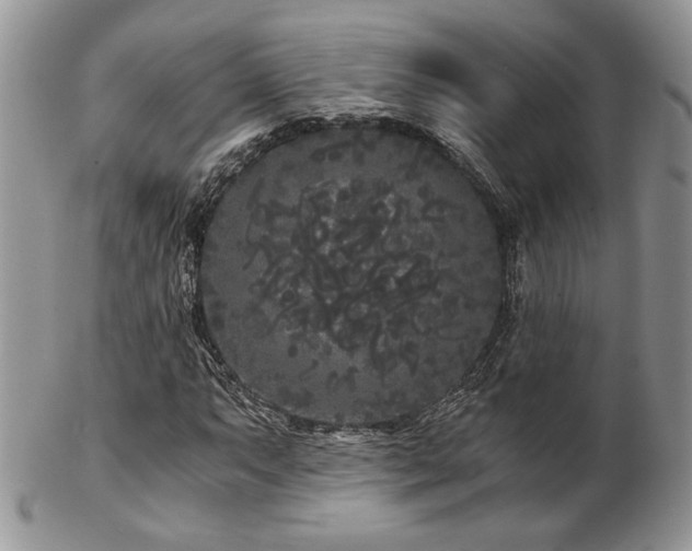 X0000102801063200808181156