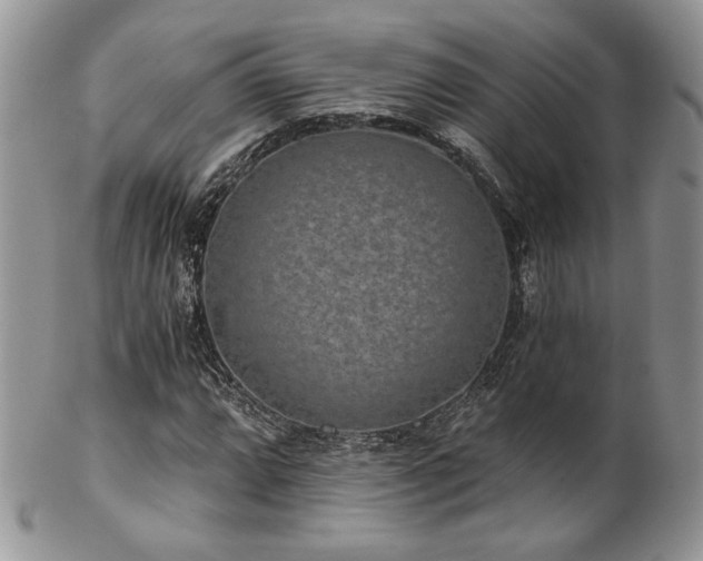 X0000102801064200808181156