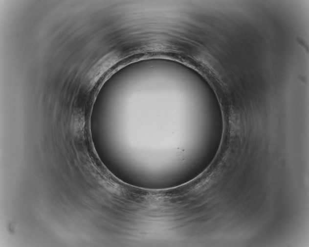 X0000102801065200808181156