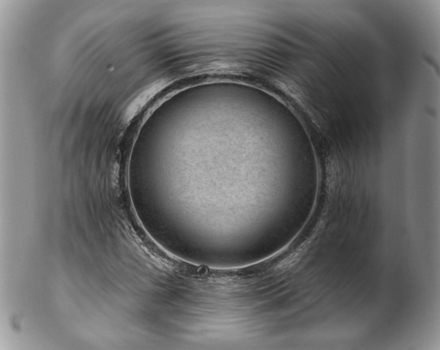 X0000102801066200808181156