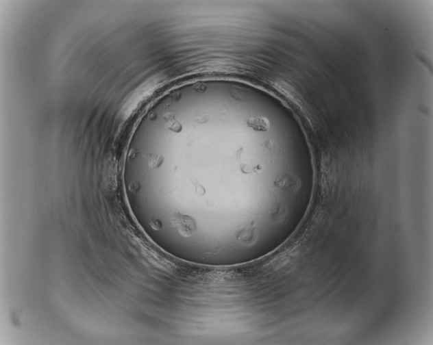 X0000102801067200808181156
