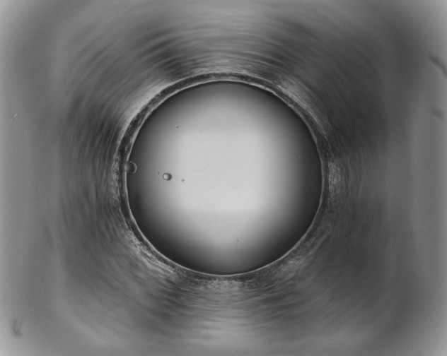 X0000102801068200808181156