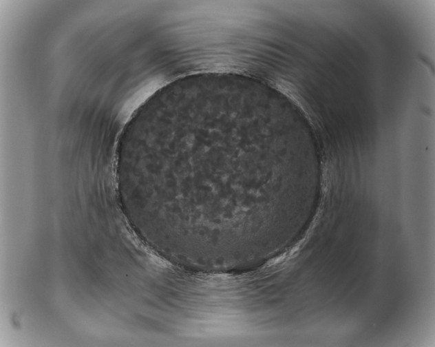 X0000102801071200808181156