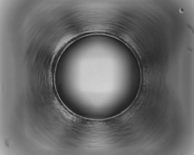 X0000102801072200808181156