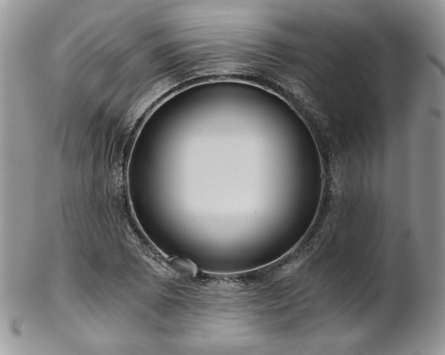 X0000102801073200808181156