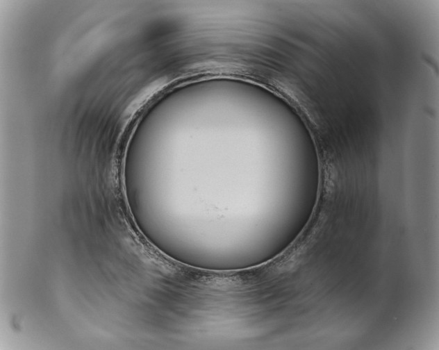X0000102801074200808181155