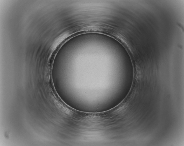 X0000102801075200808181155