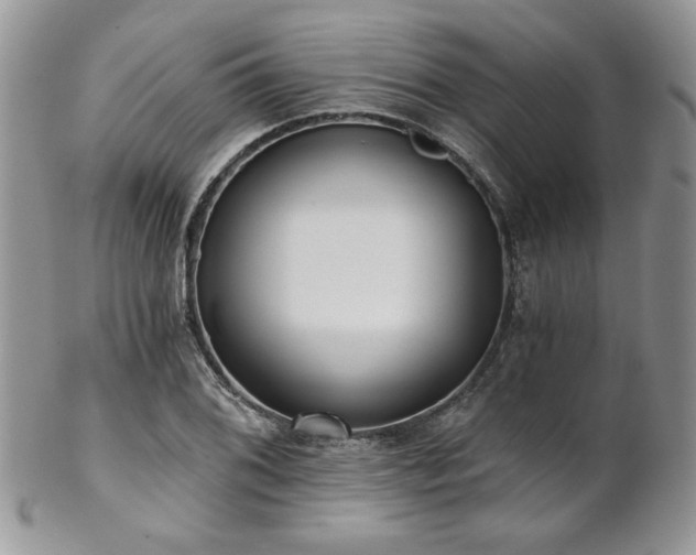 X0000102801076200808181155