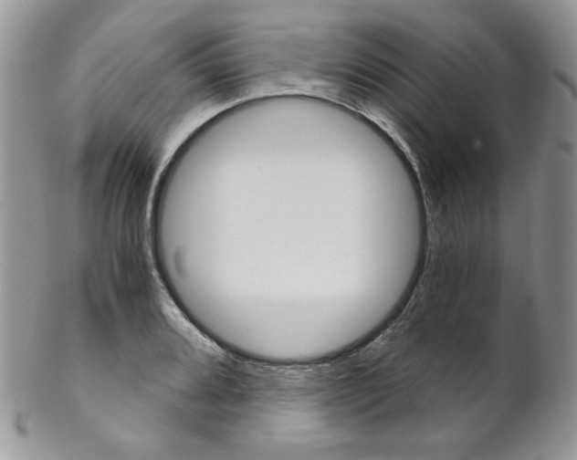 X0000102801080200808181155