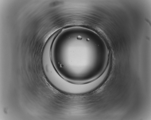 X0000102801081200808181155