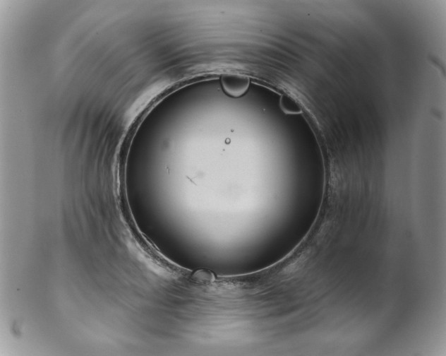 X0000102801082200808181155