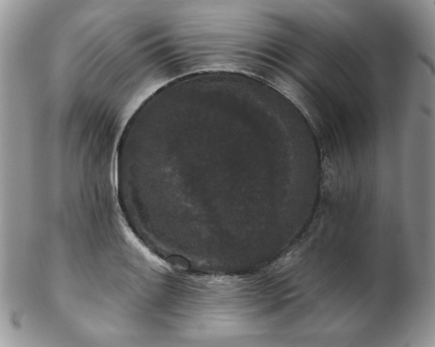 X0000102801084200808181155
