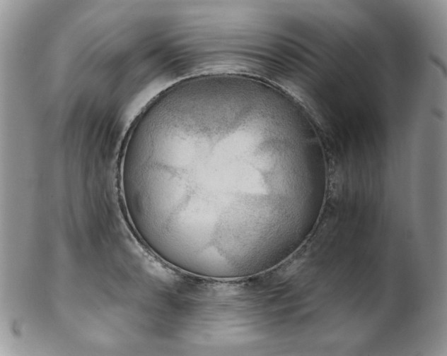 X0000102801086200808181155