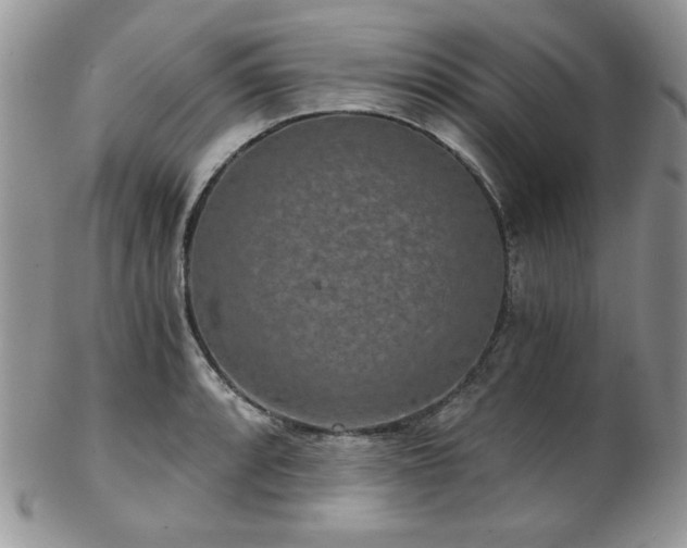 X0000102801088200808181155