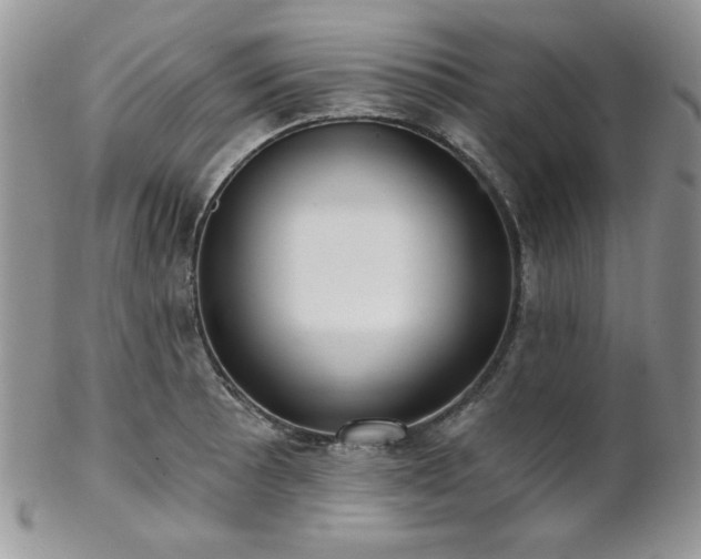 X0000102801089200808181155