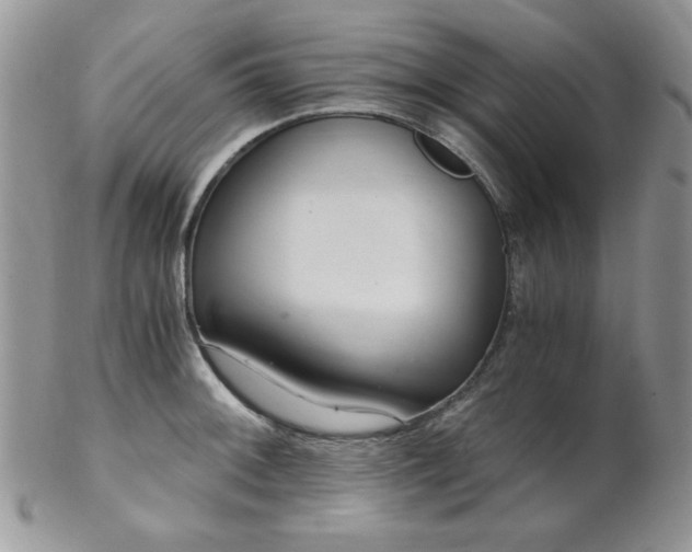 X0000102801092200808181155