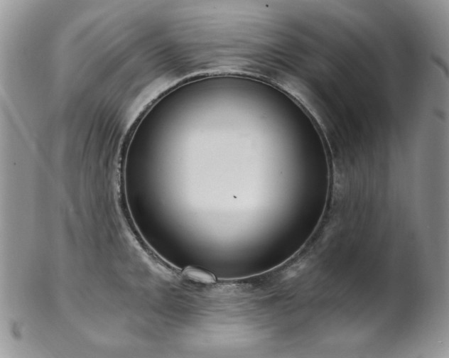 X0000102801093200808181155