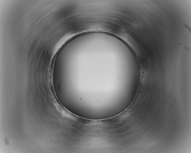 X0000102801094200808181155