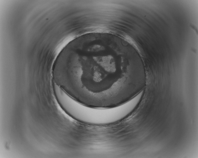 X0000102801095200808181155