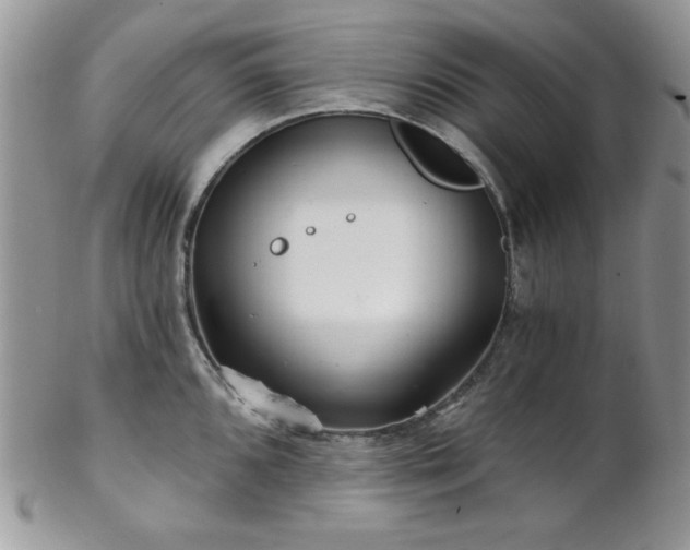 X0000102801096200808181155