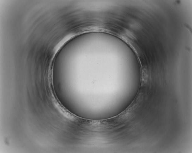 X0000102801098200808181155