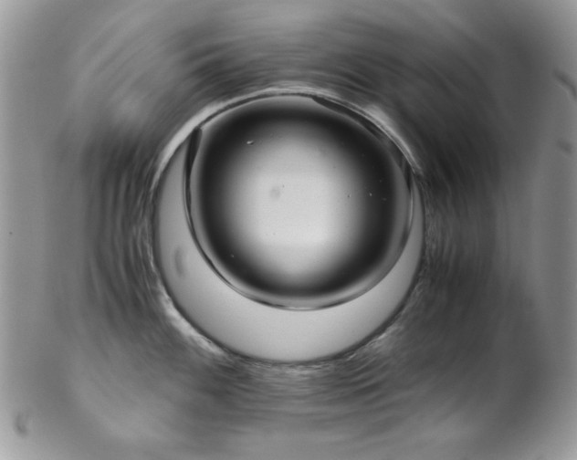 X0000102801100200808181155