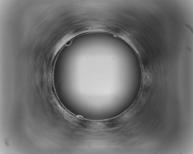 X0000102801101200808181155