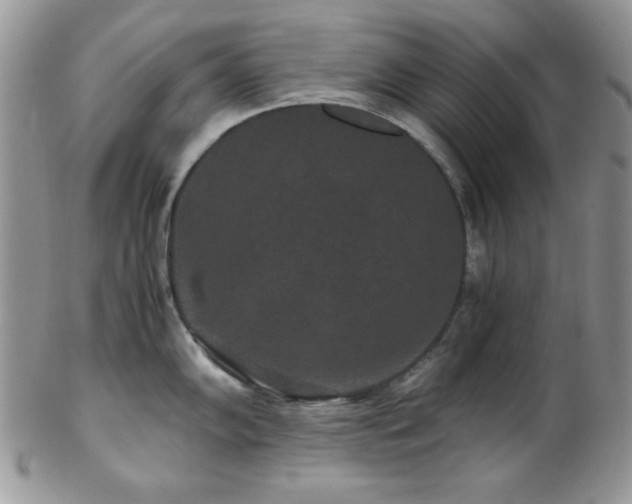 X0000102801102200808181155