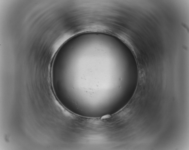 X0000102801103200808181155