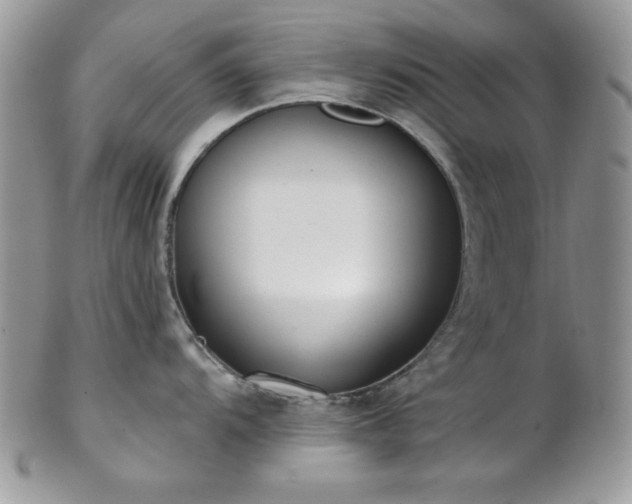 X0000102801104200808181155