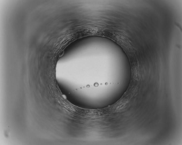 X0000102801105200808181154