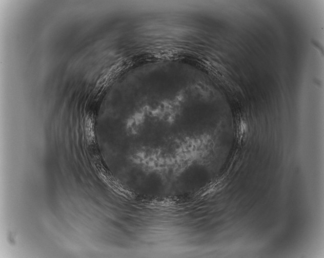 X0000102801106200808181154