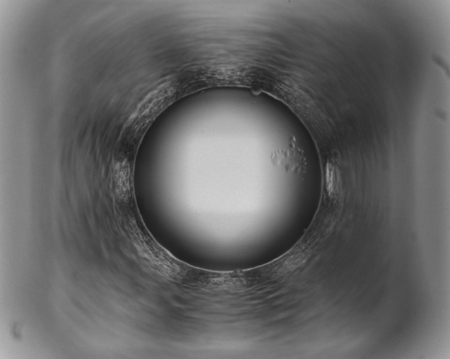 X0000102801107200808181154